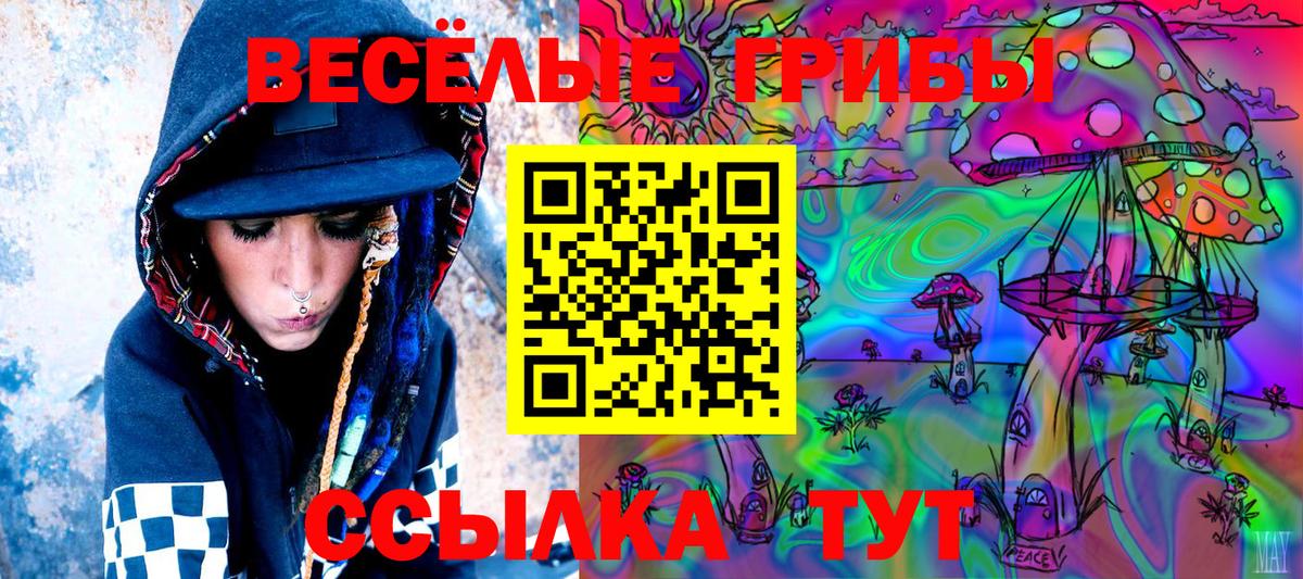 Псилоцибиновые грибы Psilocybine cubensis Соликамск