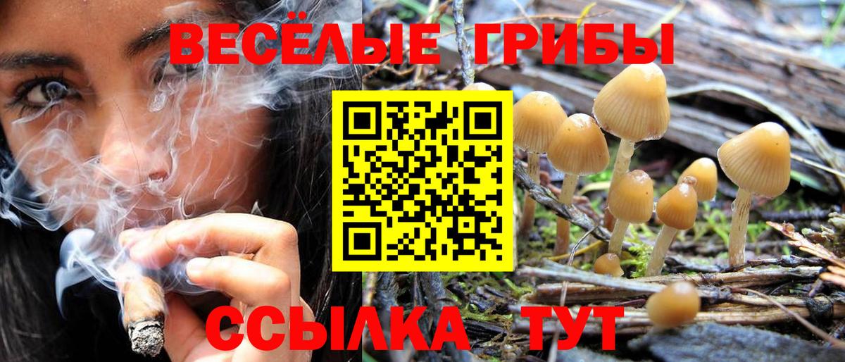 наркота  Псилоцибиновые грибы прущие грибы  Вход с VPN  Соликамск 